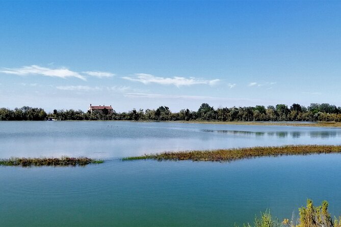 Lio Piccolo: Flamingos & Birdwatching Bike Tour in the Lagoon - Getting Out of Venice: Fondamente Nuove to the Northern Lagoon by Water Bus