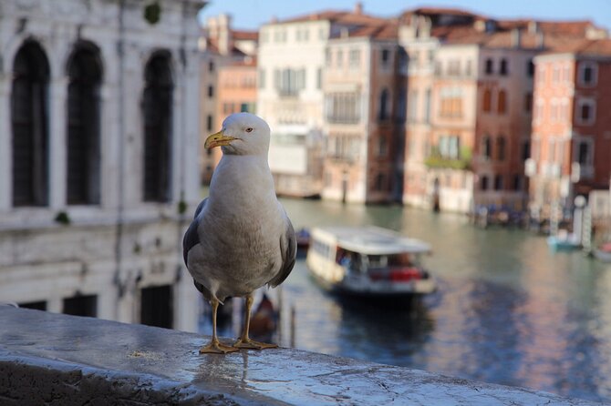 Photography workshop in the magical Venice (3h) - The Walk Toward Rialto: Street Rhythm Meets Practice