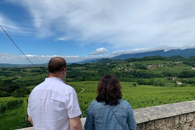 Premium Private Prosecco Hills Tour - 2 Wineries. Private tour. - Stop two: a smaller family winery and a more technical tasting