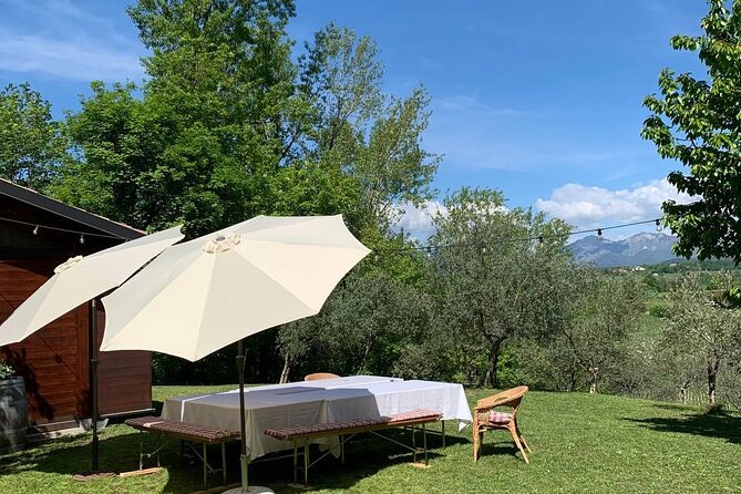 Premium Private Prosecco Hills Tour - 2 Wineries. Private tour. - The smaller taverna lunch with panoramic views