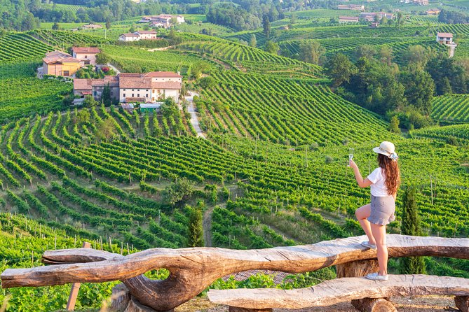Premium Prosecco Hills Winery Tour with Prosecco Tastings & Food - Quick hits on this Prosecco Hills day