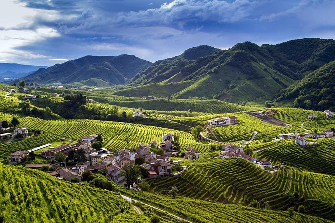 Premium Prosecco Hills Winery Tour with Prosecco Tastings & Food - Why the Prosecco Hills feel like a different trip than Venice