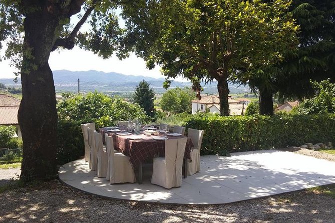Premium Prosecco Hills Winery Tour with Prosecco Tastings & Food - Conegliano winery time: owner-led learning and four DOCG pours