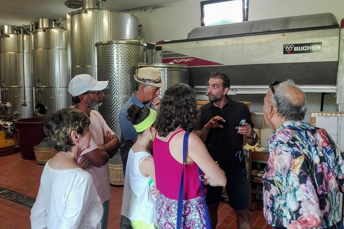Premium Prosecco Hills Winery Tour with Prosecco Tastings & Food - Pairing food like a local: cold cuts, cheese, bread, and breadsticks