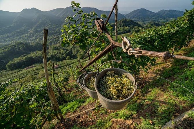 Premium Prosecco Hills Winery Tour with Prosecco Tastings & Food - Getting started: Piazzale Roma meetup and the smooth ride out of the city