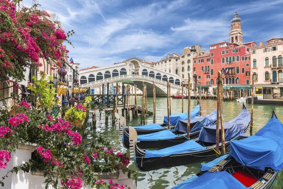 Private Art & Culture Tour in Dorsoduro and Academia, Venice - The 2-Hour Option: Best of Dorsoduro, Views, and Legends