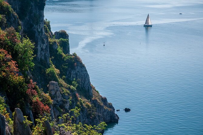 Private Direct Transfer From Venice to Trieste, up to 8 pax - Vehicle Choices for 1–8 People (And Why It Impacts Comfort)