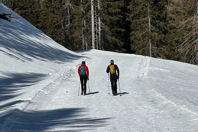 Private Dolomites Winter Day Tour from Venice - Tre Cime di Lavaredo: the winter panorama, with optional snowmobile drama