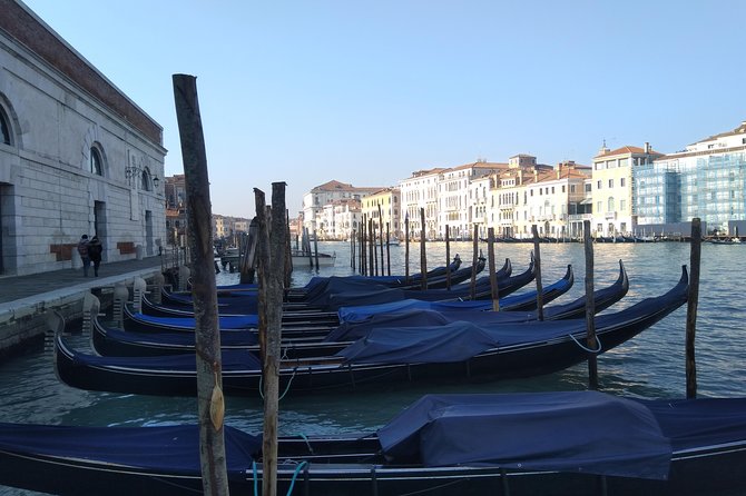 Private exclusive Venice and Murano guided tour - What Customization Really Means on This Tour
