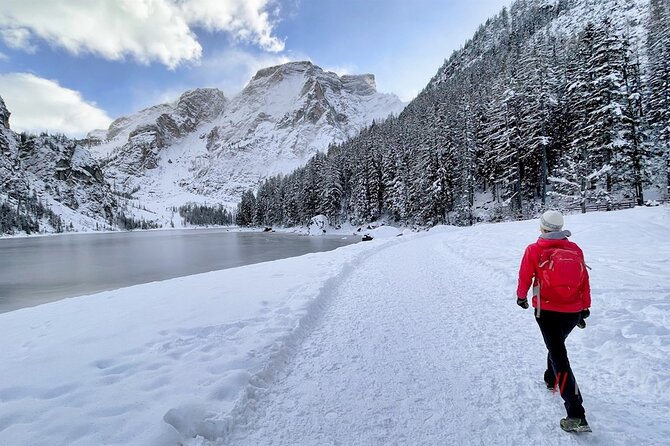 Private Guided Tour in the Dolomites from Venice - Lake Misurina at 1,754 meters: the cleanest air stop and your lunch option