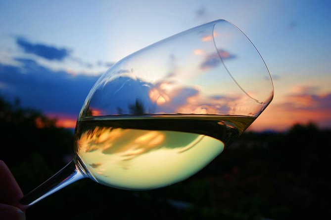 Private Half Day Wine Tasting tour: Road Of The Doges - The 17th-Century Villa Winery in Lison-Pramaggiore