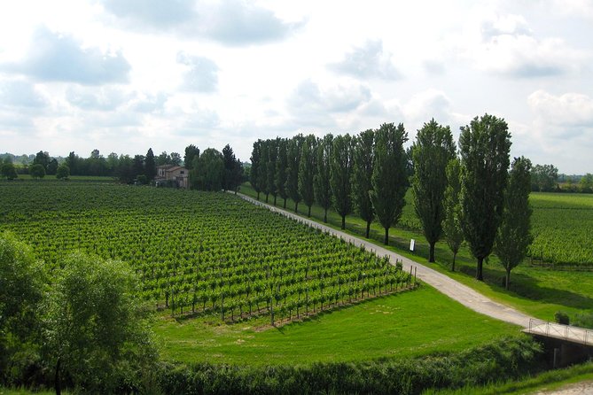 Private Half Day Wine Tasting tour: Road Of The Doges - How the Half-Day Timing Affects Your Value