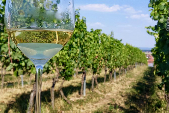 Private Half Day Wine Tasting tour: Road Of The Doges - Mercedes Comfort and the Day-Of Reality Check