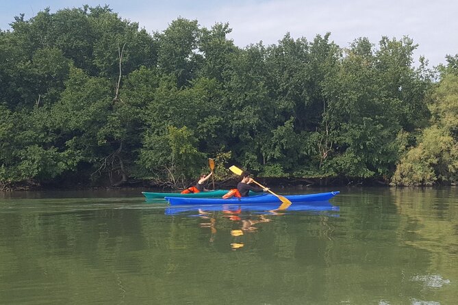 Private Kayak Tour in the Venetian Lagoon - Vogaepara Rowing Association: More Than a Stop, It’s the Story Setup