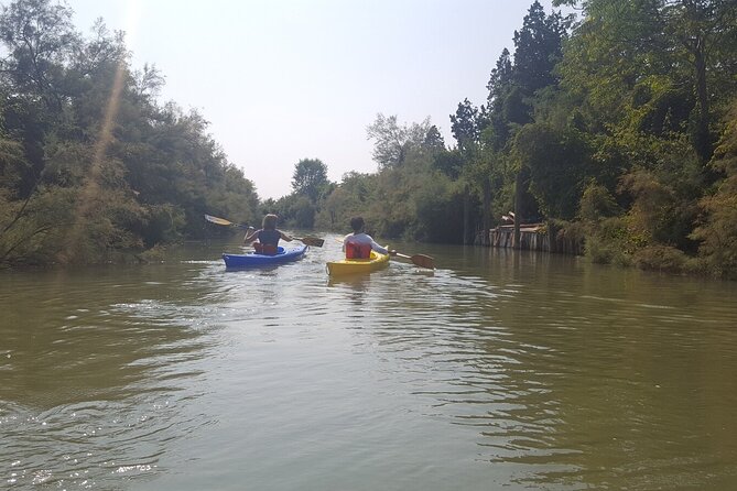 Private Kayak Tour in the Venetian Lagoon - What Wildlife and Nature Looks Like (and What You Should Expect)