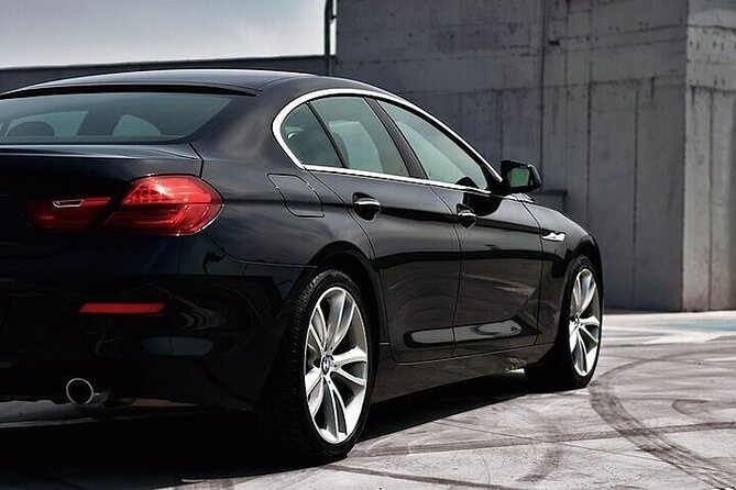 Private One-way Airport Transfer Venice Airport to Venice - Key Things to Know Before You Land