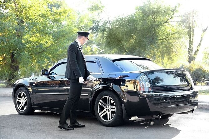 Private One-way Airport Transfer Venice Airport to Venice - Private for Your Party: Worth It for Families and Seniors