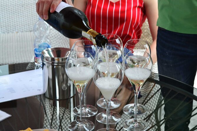 Private Tour: Prosecco Wine Tasting Day Trip with Lunch from Venice - Key Points Before You Book