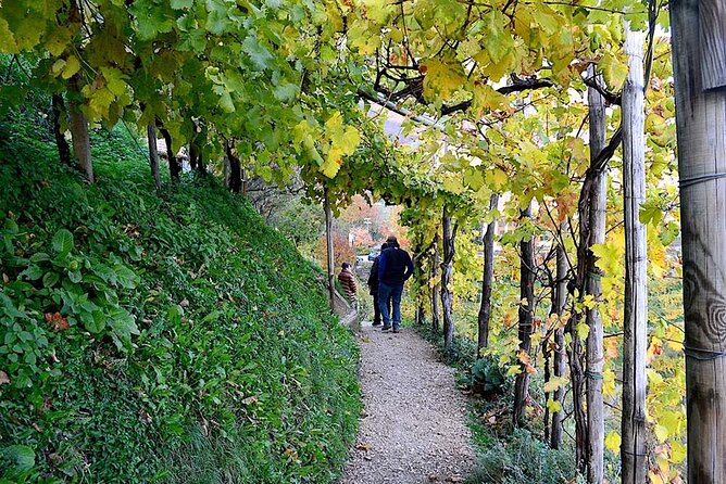Private Tour: Prosecco Wine Tasting Day Trip with Lunch from Venice - The Valdobbiadene Drive: Small Towns, Bigger Context