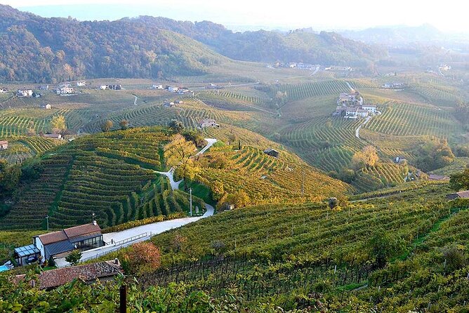 Private Tour: Prosecco Wine Tasting Day Trip with Lunch from Venice - How to Taste Smarter (Even if You’re Not a Sommelier)
