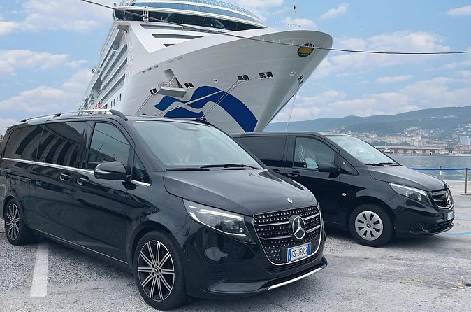 Private Transfer from Venice Airport to All Cruise Terminals Port - Luggage Rules and Practical Packing Advice