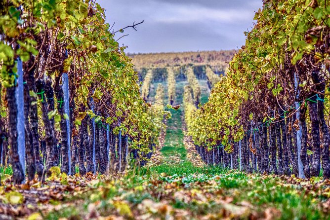 Private Valpolicella Day Trip from Venice: Wine Tasting and Verona - Key Things That Make This Day Trip Worth Your Time