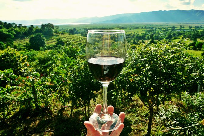 Private Valpolicella Day Trip from Venice: Wine Tasting and Verona - Price and Logistics: What You’re Paying For