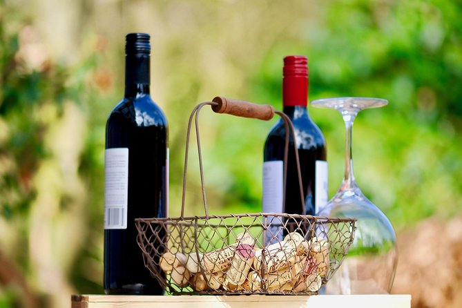 Private Valpolicella Day Trip from Venice: Wine Tasting and Verona - Guides: Stefano, Simone, and Simon-Style Hospitality