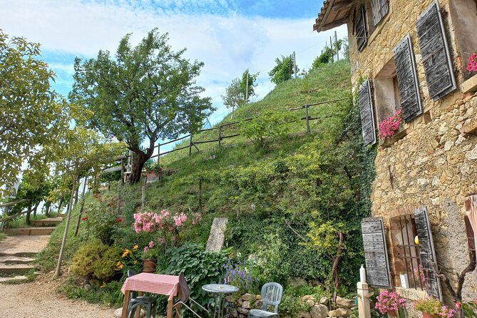 Prosecco Hills Day Trip from Venice & Treviso: 2 Wineries - Key highlights that make this day trip work