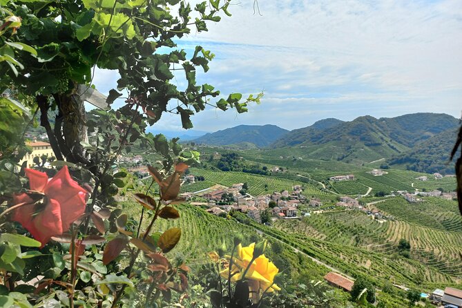 Prosecco Hills Day Trip from Venice & Treviso: 2 Wineries - From Venice or Treviso to the Prosecco Hills: fast start, comfortable ride