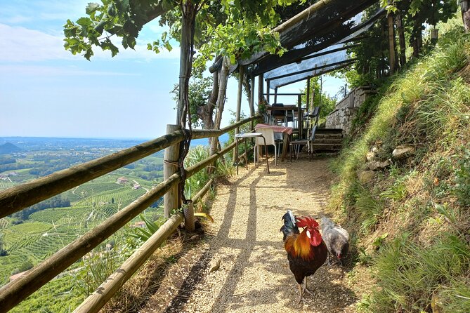Prosecco Hills Day Trip from Venice & Treviso: 2 Wineries - How to plan your day so it feels great, not rushed