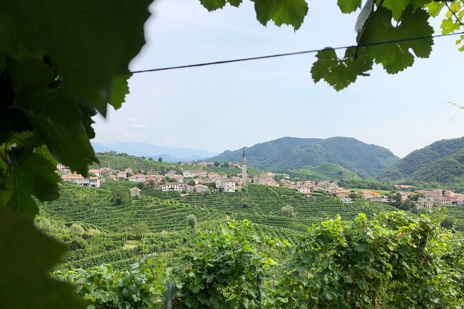 Prosecco Hills Wine and Cheese Gourmet Discovery - Who should book this, and who should skip it