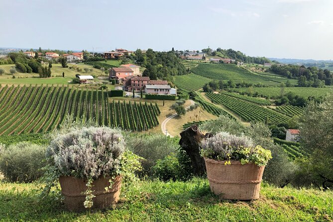 Prosecco Hills Wine and Cheese Gourmet Discovery - Should you book Prosecco Hills Wine and Cheese Gourmet Discovery?