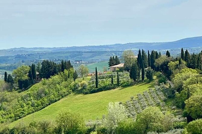 Prosecco Wine Tour. Full day from Venice - Stop Two: Second Vineyard Visit and Another Set of Bubbles