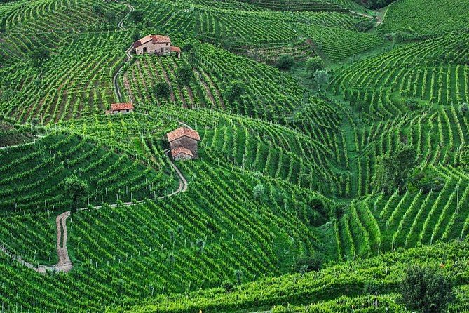 Prosecco Wine Tour. Full day from Venice - Price and Logistics: Is $340.65 Worth It?
