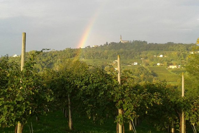 Prosecco Wine Tour. Full day from Venice - Your Full-Day Flow From Venice: Timing and What Fills the 7 Hours