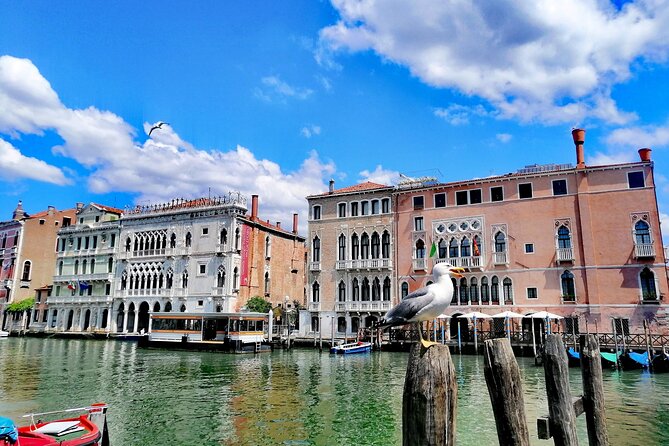 Rialto Market & Seafood Cooking Class in Murano - Who This Tour Is Best For (and Who Might Skip It)