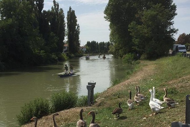 Riviera del Brenta Bike Tour - Price and value: what $83.08 includes, and what you should budget for