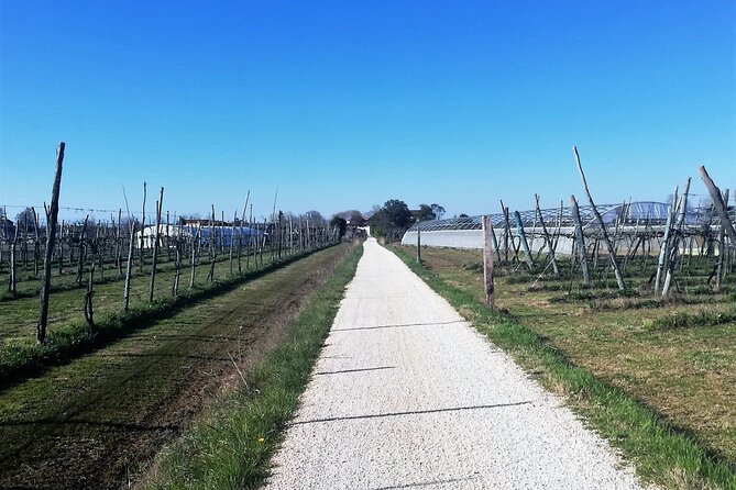 Sant’Erasmo Bike Tour in Venice’s Green Island - Northward Views: Toward Burano and San Francesco del Deserto