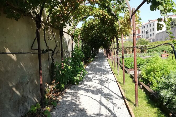 Secret Gardens of Venice Walking Tour - Stop 2: Parco Villa Groggia for a Slower, Local-Feeling Stroll