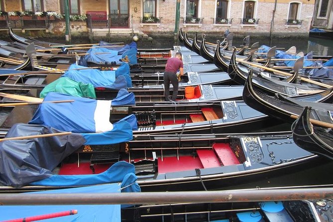 The Heart of Venice: A Self-Guided Audio Tour - Teatro Comunale Carlo Goldoni: comedy that shaped real people