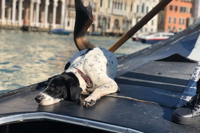 The Secrets of Venice - Private Tour - Piazza San Marco to Ponte dei Sospiri: The Power Arc Lands Better