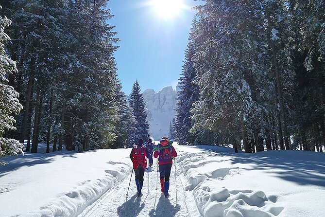 UNESCO Dolomites great expedition from Venice by Yellowboot - Venice to the Dolomites: Why This Route Works