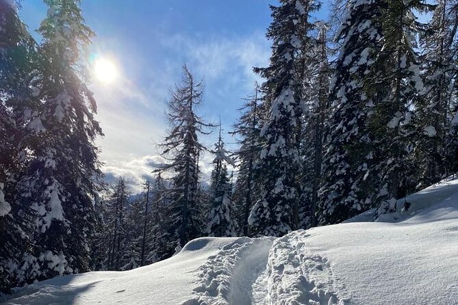 UNESCO Dolomites great expedition from Venice by Yellowboot - Who This Tour Suits Best