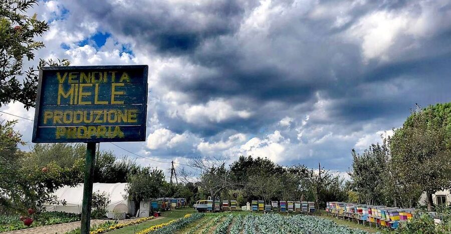 Venice: Bike Tour Honey & artichockes on Sant’Erasmo Island - From Fondamente Nove to Sant’Erasmo: setting the lagoon mood