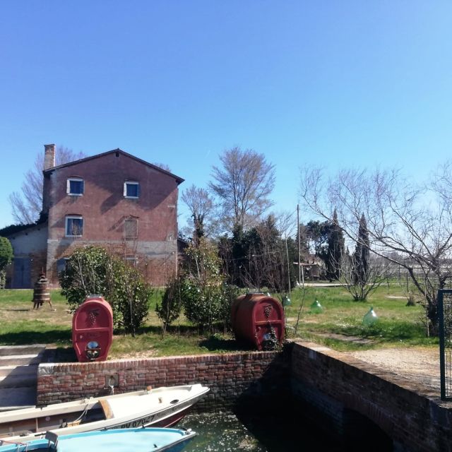 Venice: Bike Tour Honey & artichockes on Sant’Erasmo Island - The 19th-century fort start: bikes, moats, and a different Venice rhythm