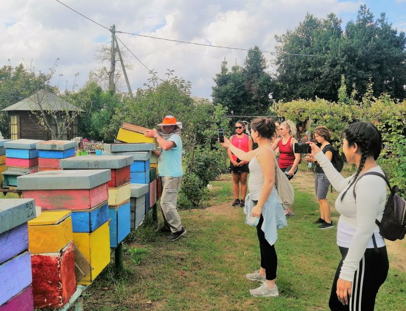 Venice: Bike Tour Honey & artichockes on Sant’Erasmo Island - The bee farm and salt-marsh honey: tasting the lagoon’s flavor