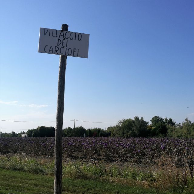 Venice: Bike Tour Honey & artichockes on Sant’Erasmo Island - Island spotting from the saddle: Burano, Torcello, Lido, and more