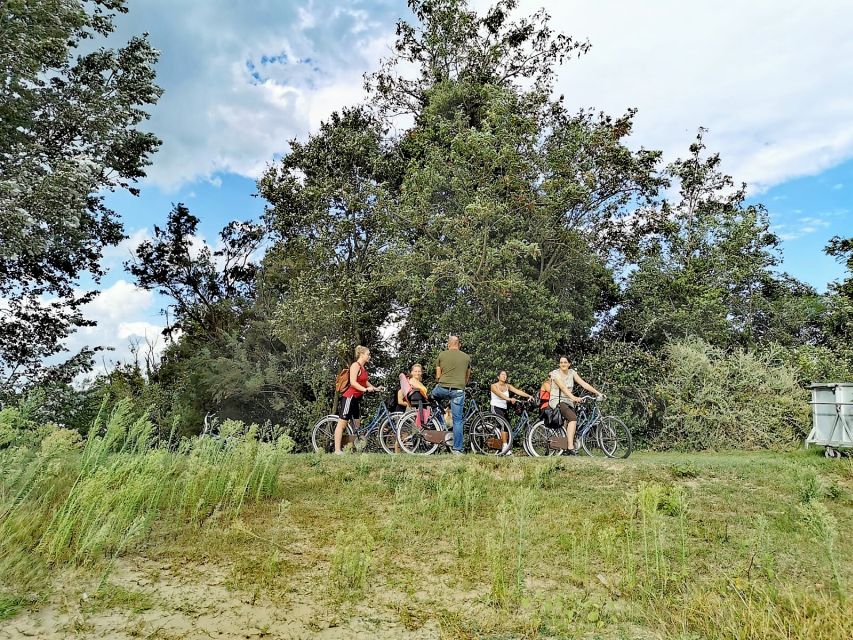 Venice: Bike Tour Honey & artichockes on Sant’Erasmo Island - Should you book this tour?