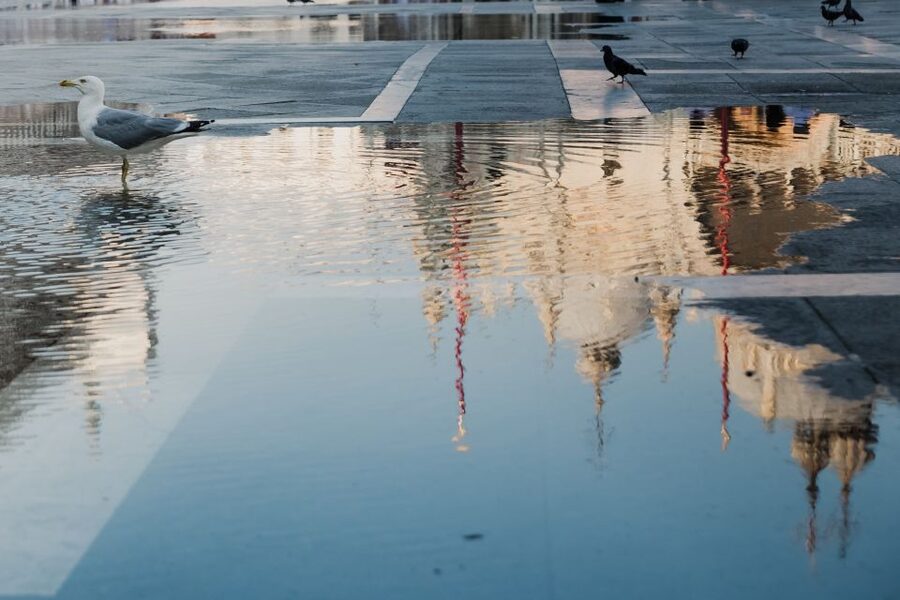 Venice: City Tour and Murano Glass Experience - Timing, boat logistics, and what the included boats change for you